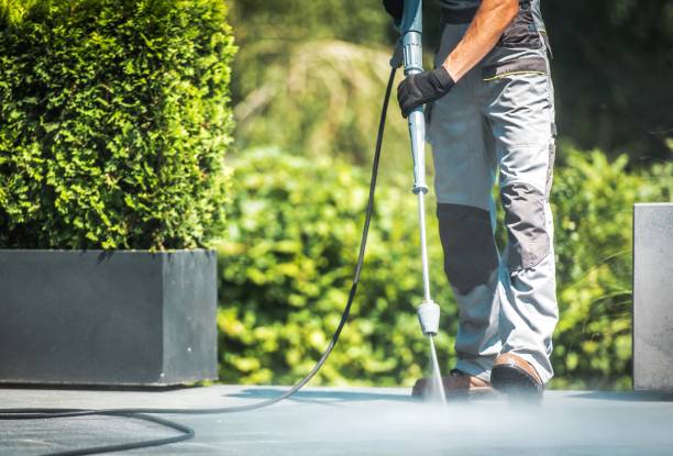 Best House Exterior Washing  in Granite City, IL
